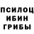 Псилоцибиновые грибы Cubensis Polina Qw
