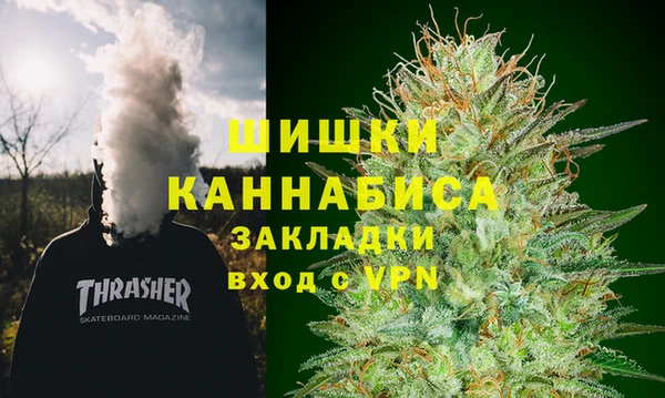 СК Алексин