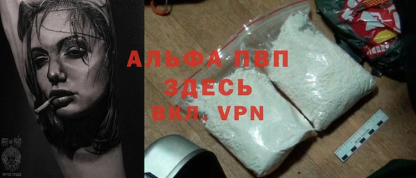 СК Алексин