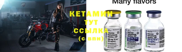 СК Алексин