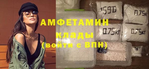 СК Алексин