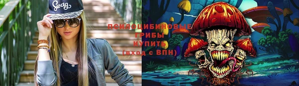 СК Алексин